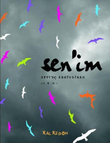 Senim  Frontansicht 1