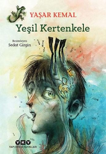 Yeşil Kertenkele  Frontansicht 1