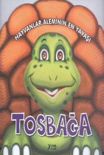 Hayvanlar Aleminin En Yavaşı Tosbağa  Frontansicht 1