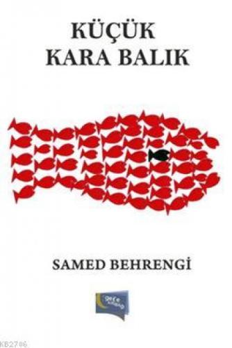 Küçük Kara Balık  Frontansicht 1