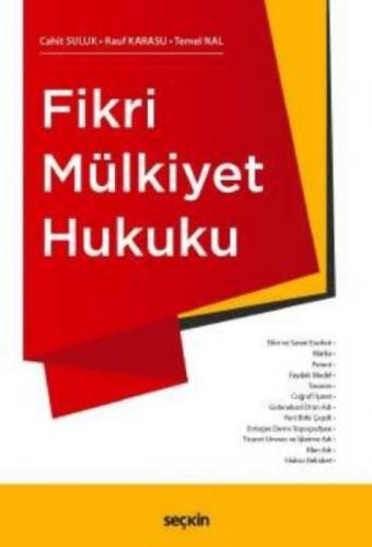 Fikri Mülkiyet Hukuku  Frontansicht 1