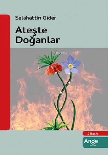 Ateşle Doğanlar  Frontansicht 1
