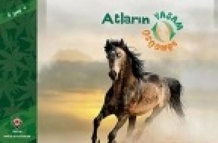 Atların Yaşam Döngüsü  Frontansicht 1