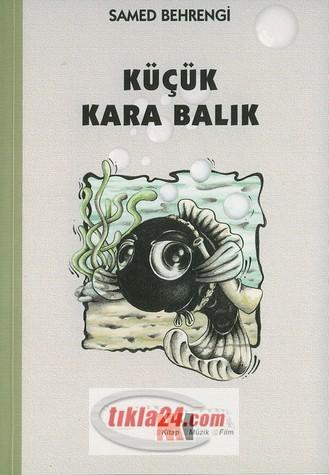 Küçük Kara Balık  Frontansicht 1