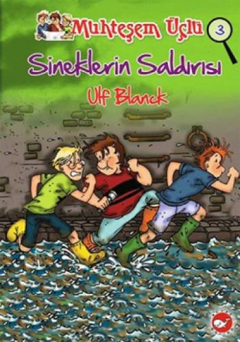 Sineklerin Saldırısı  Frontansicht 1