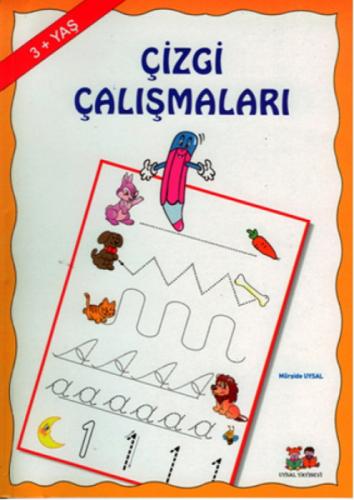 Çizgi Çalışmaları  Frontansicht 1