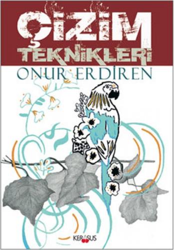 Çizim Teknikleri  Frontansicht 1