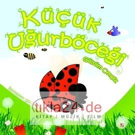 Küçük Uğurböceği  Frontansicht 1