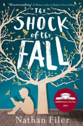 The Shock of the Fall  Frontansicht 1