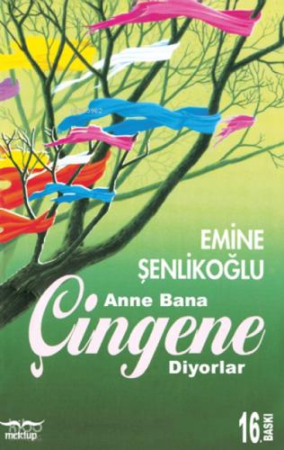 Anne Bana Çingene Diyorlar  Frontansicht 1