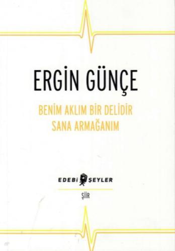 Benim Aklım Bir Delidir Sana Armağanım  Frontansicht 1