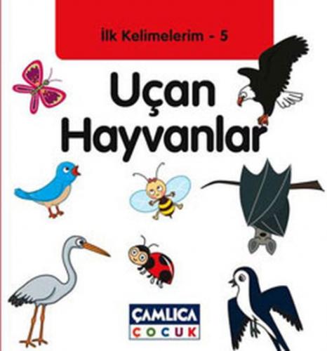 Uçan Hayvanlar  Frontansicht 1