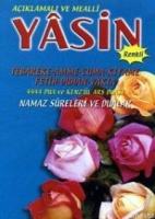 Yasin Açıklamalı  Frontansicht 1