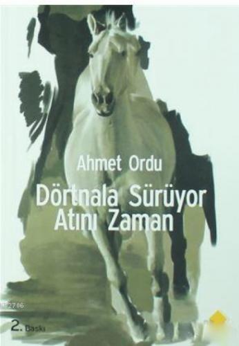 Dörtnala Sürüyor Atını Zaman  Frontansicht 1