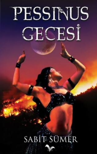 Pessinus Gecesi  Frontansicht 1