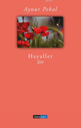 Hayaller  Frontansicht 1