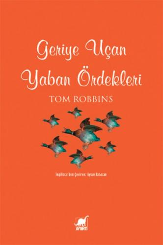 Geriye Uçan Yaban Ördekleri  Frontansicht 1