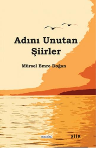Adını Unutan Şiirler  Frontansicht 1