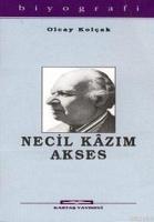 Necil Kazım Akses  Frontansicht 1