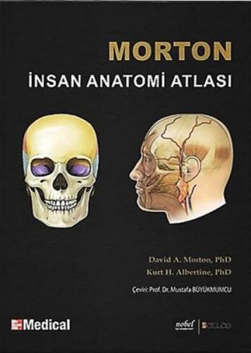 Morton İnsan Anatomisi  Frontansicht 1