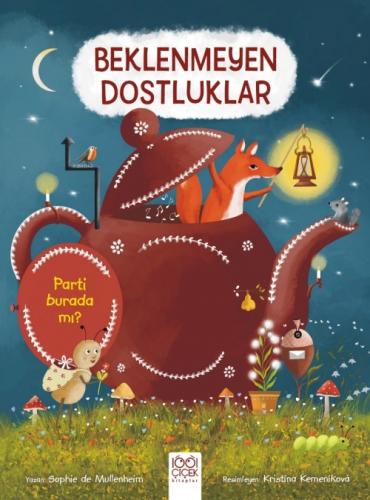 Beklenmeyen Dostluklar  Frontansicht 1
