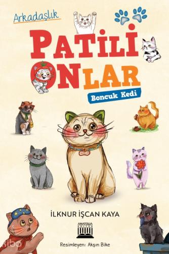Patili Onlar - Boncuk Kedi  Frontansicht 1