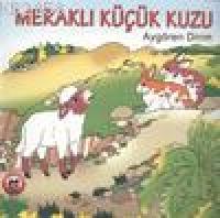 Meraklı  Frontansicht 1