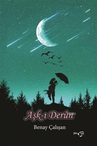 Aşk-ı Derun  Frontansicht 1