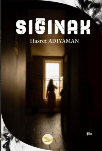 Sığınak  Frontansicht 1
