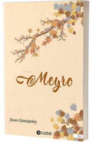 Meyro  Frontansicht 1
