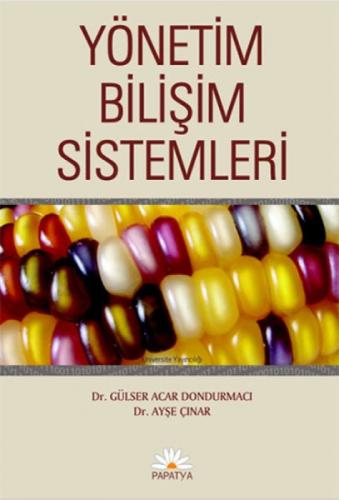 Yönetim Bilişim Sistemleri  Frontansicht 1