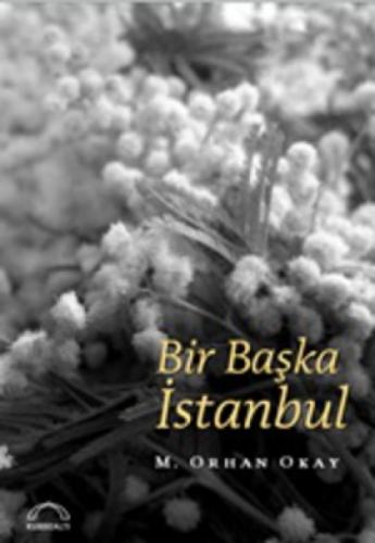 Bir Başka İstanbul  Frontansicht 1