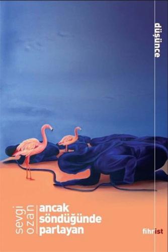 Ancak Söndüğünde Parlayan  Frontansicht 1