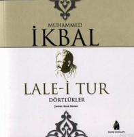 Lale-i Tur; Dörtlükler  Frontansicht 1