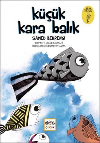 Küçük Kara Balık  Frontansicht 1
