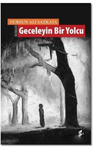 Geceleyin Bir Yolcu  Frontansicht 1