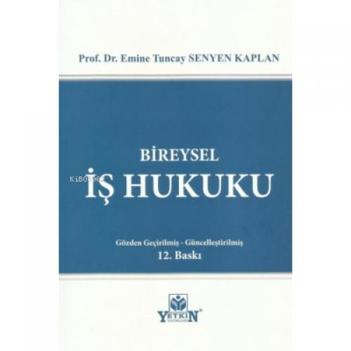Bireysel İş Hukuku  Frontansicht 1