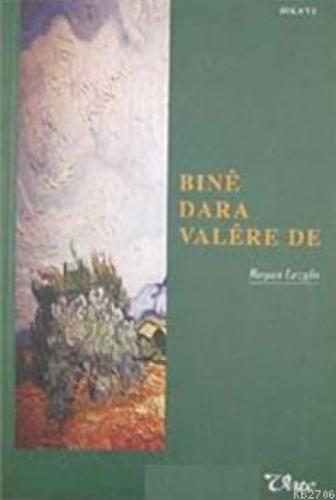Bıne Dara Valere de  Frontansicht 1