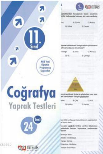 Nitelik - 11. Sınıf Coğrafya Yaprak Testleri  Frontansicht 1