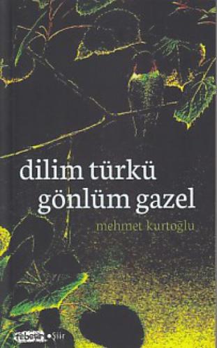Dilim Türkü Gönlüm Gazel  Frontansicht 1