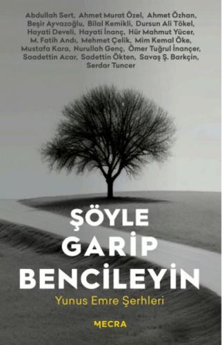 Şöyle Garip Bencileyin  Frontansicht 1