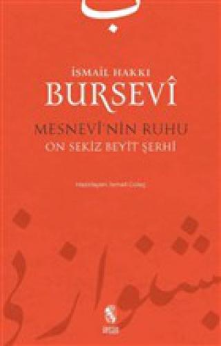 Mesnevi'nin Ruhu  Frontansicht 1