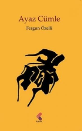 Ayaz Cümle  Frontansicht 1
