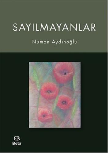 Sayılmayanlar  Frontansicht 1