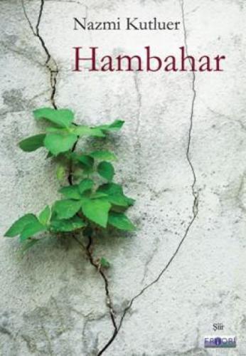 Hambahar  Frontansicht 1