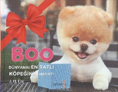 Boo  Frontansicht 1