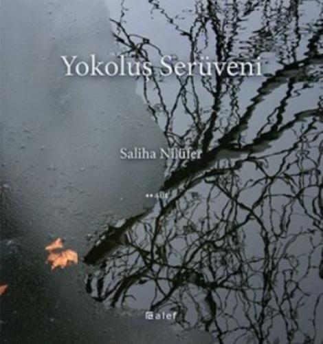 Yokoluş Serüveni  Frontansicht 1