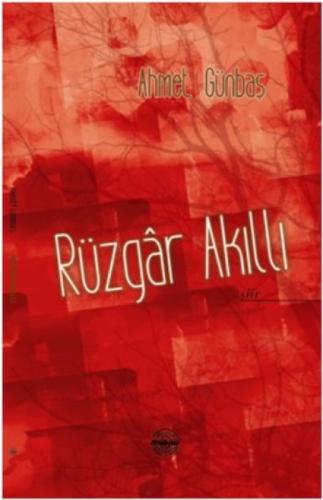 Rüzgar Akıllı  Frontansicht 1
