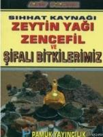 Sıhhat Kaynağı  Frontansicht 1