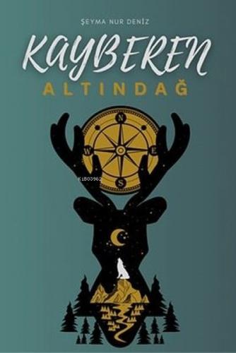 Kayberen Altındağ  Frontansicht 1